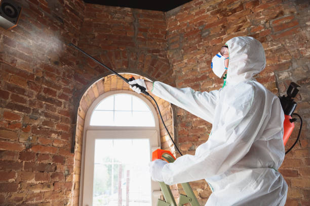 Mold Odor Removal Services in Sargent, TX