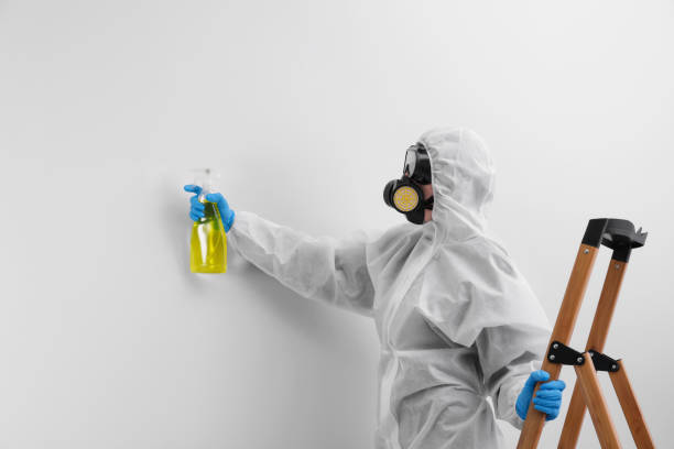 Reliable Sargent, TX Mold Inspection Solutions